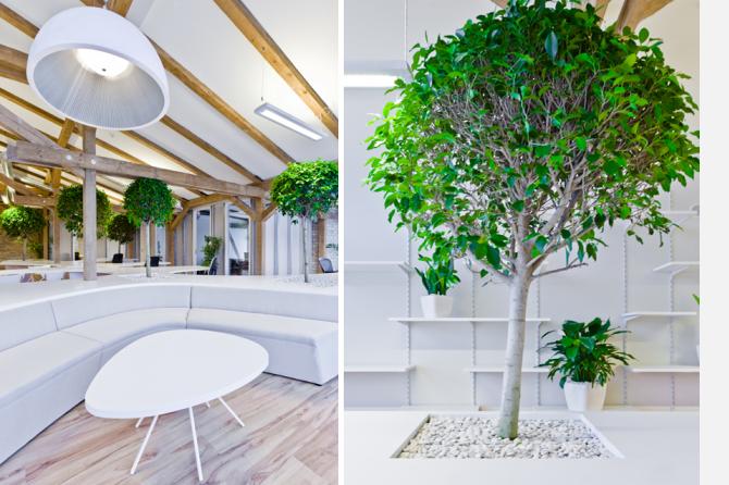 Greenhouse 辦公室裝修設(shè)計-第9張圖片-上海古都建筑設(shè)計集團 Greenhouse 辦公室裝修設(shè)計-第9張圖片-上海古都建筑設(shè)計集團